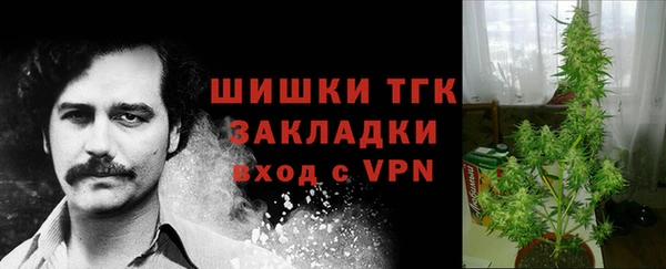 ECSTASY Абинск