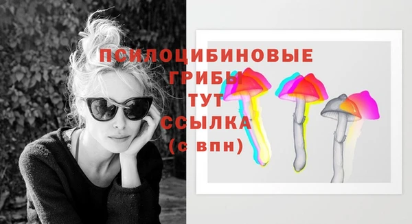 не бодяженный Алзамай