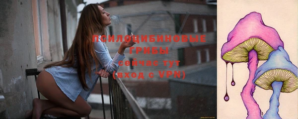 ПСИЛОЦИБИНОВЫЕ ГРИБЫ Абдулино