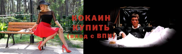 ПСИЛОЦИБИНОВЫЕ ГРИБЫ Абдулино