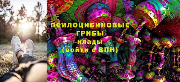 ECSTASY Абинск