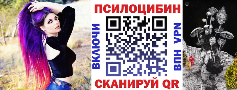 купить  сайты  Вилючинск  Псилоцибиновые грибы MAGIC MUSHROOMS 